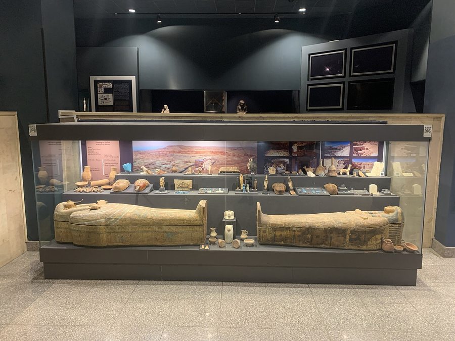 Read typography, placement, language and missing information as part of how a museum makes a record available to visitors.